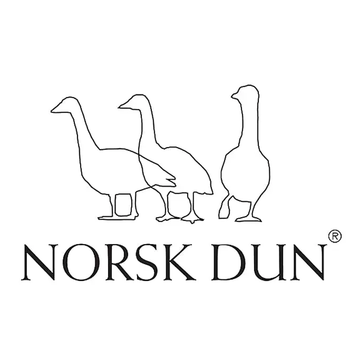 norsk-dun